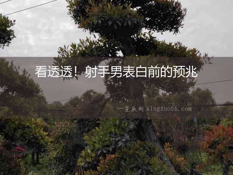 看透透！射手男表白前的預(yù)兆