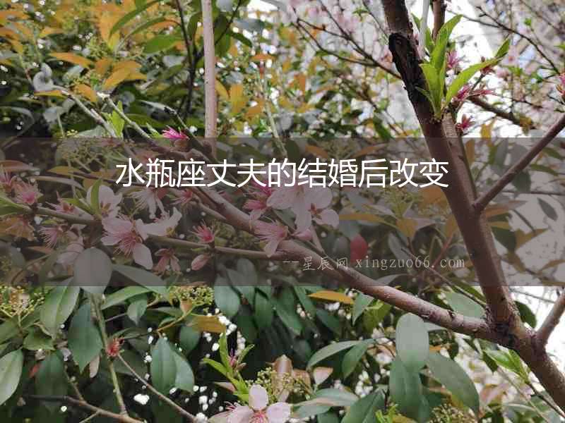 水瓶座丈夫的結婚后改變