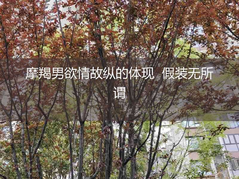 摩羯男欲情故縱的體現  假裝無所謂