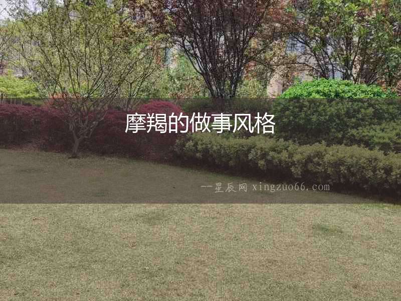 摩羯的做事風(fēng)格