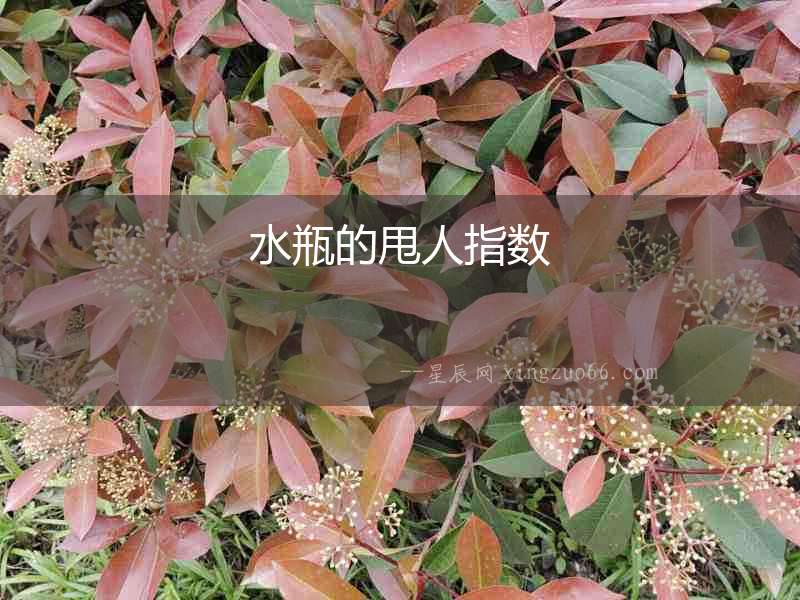 水瓶的甩人指數