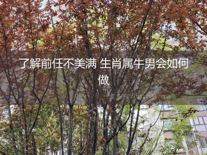 了解前任不美滿 生肖屬牛男會(huì)如何做