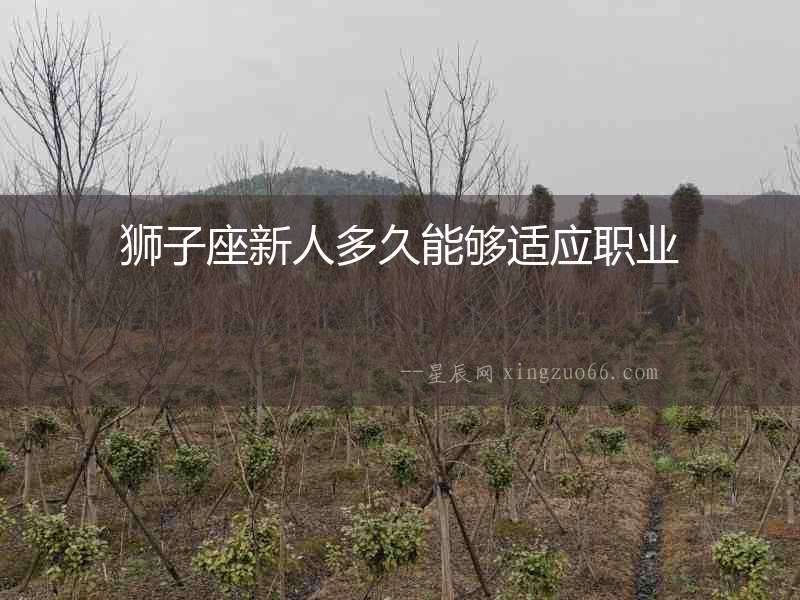 獅子座新人多久能夠適應職業
