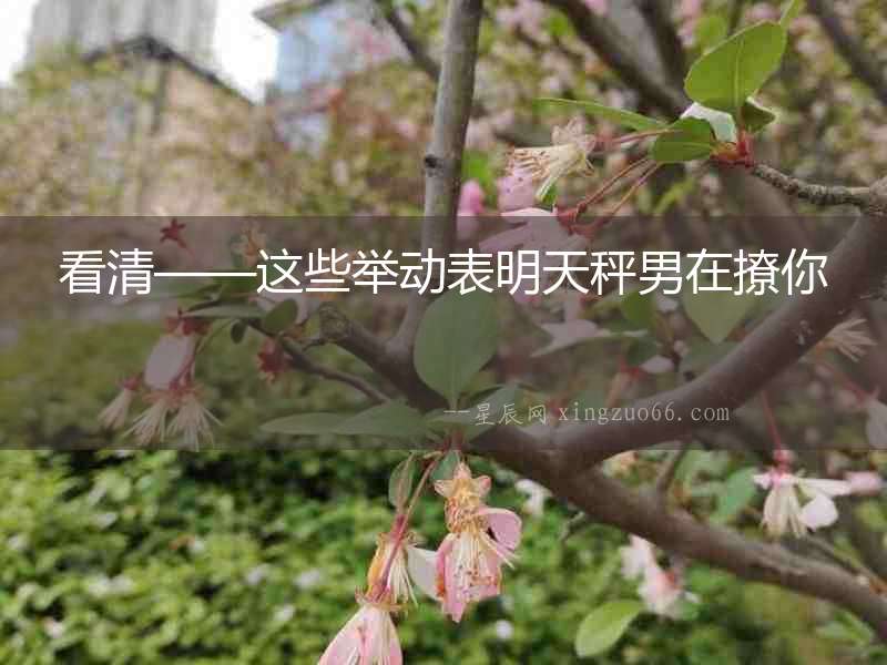 看清——這些舉動表明天秤男在撩你
