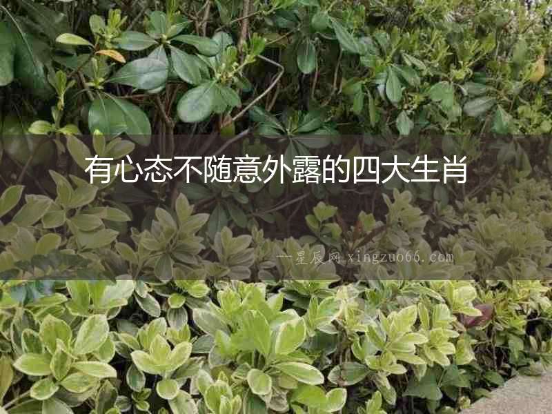 有心態(tài)不隨意外露的四大生肖