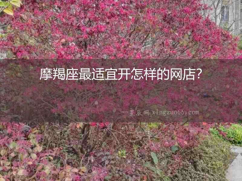 摩羯座最適宜開(kāi)怎樣的網(wǎng)店？