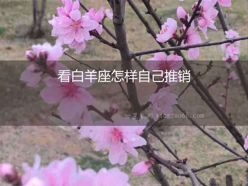 看白羊座怎樣自己推銷