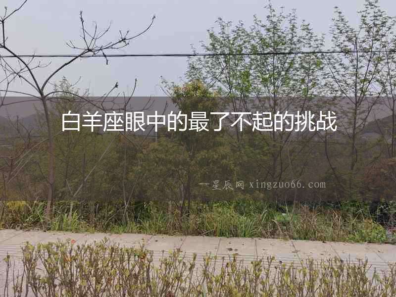 白羊座眼中的最了不起的挑戰