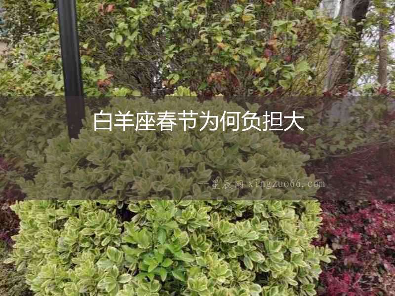 白羊座春節為何負擔大
