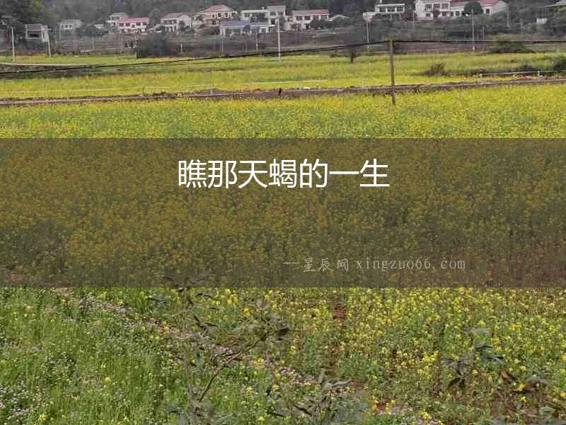 瞧那天蝎的一生