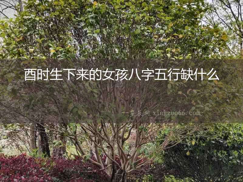 酉時生下來的女孩八字五行缺什么