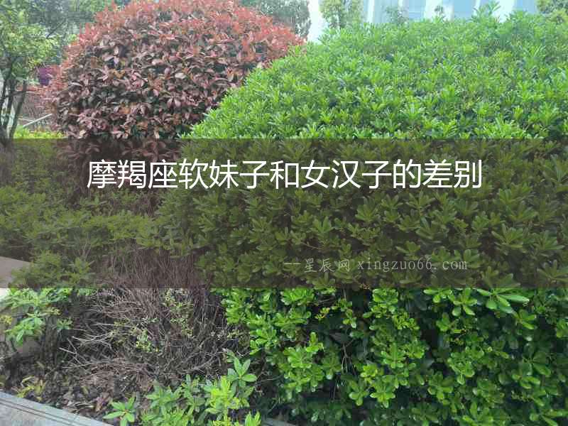 摩羯座軟妹子和女漢子的差別
