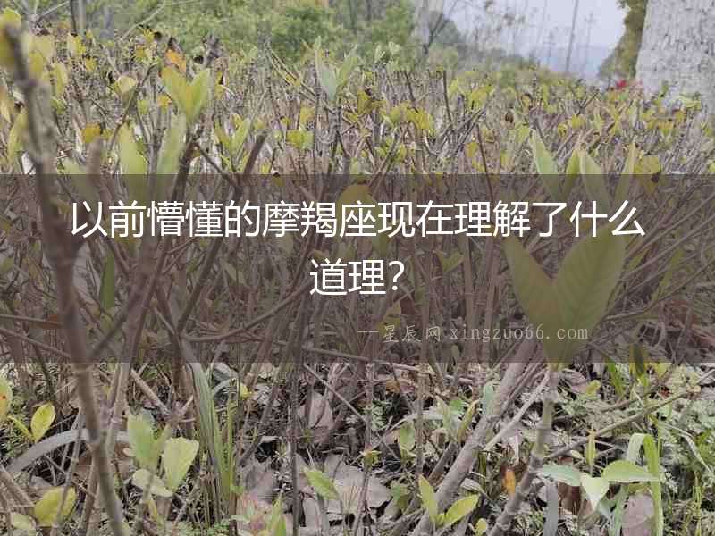 以前懵懂的摩羯座現(xiàn)在理解了什么道理？
