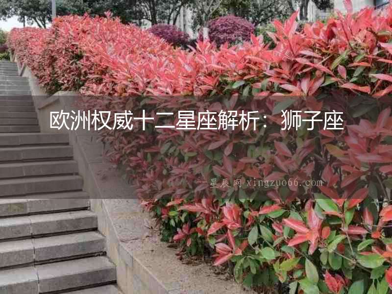 歐洲權威十二星座解析：獅子座