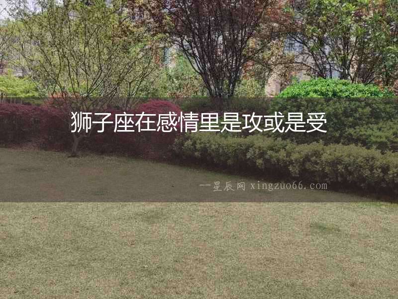 獅子座在感情里是攻或是受
