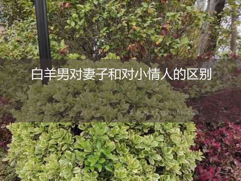 白羊男對妻子和對小情人的區別