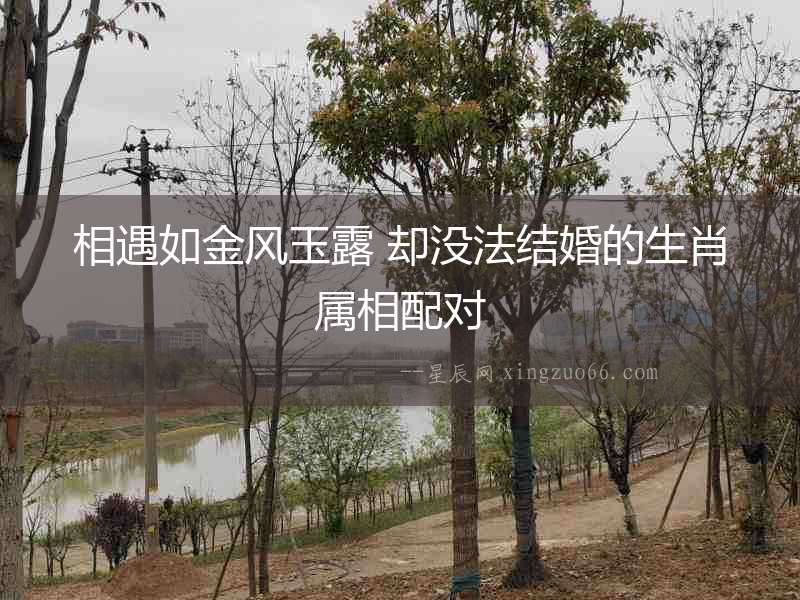 相遇如金風(fēng)玉露 卻沒(méi)法結(jié)婚的生肖屬相配對(duì)
