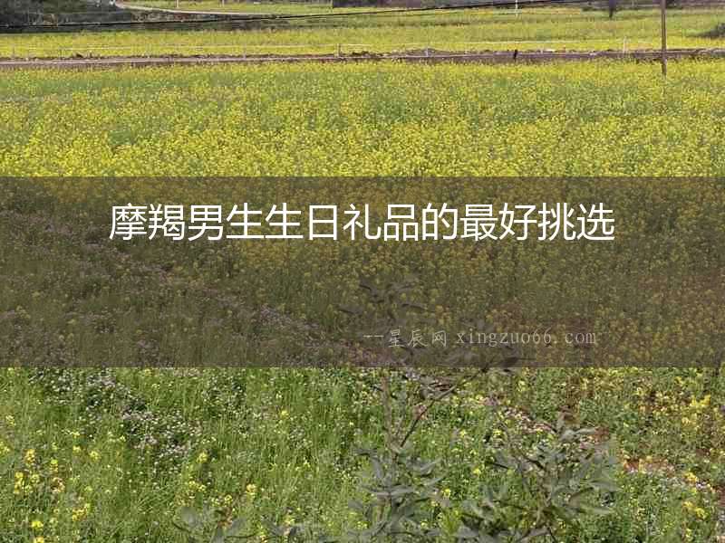 摩羯男生生日禮品的最好挑選