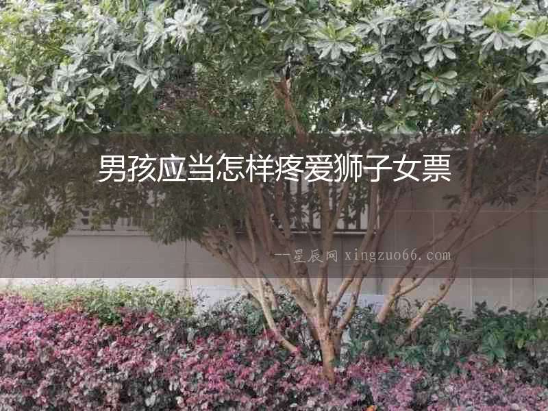 男孩應當怎樣疼愛獅子女票