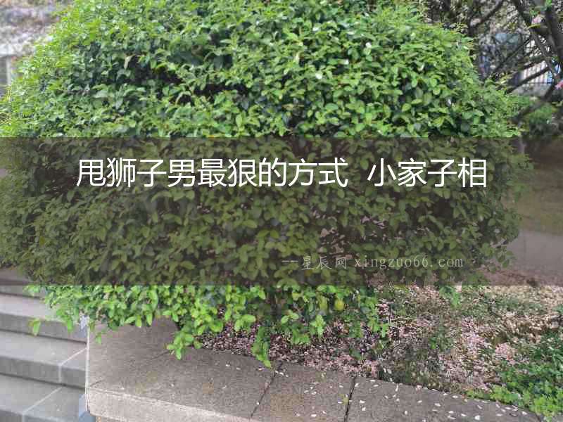 甩獅子男最狠的方式  小家子相
