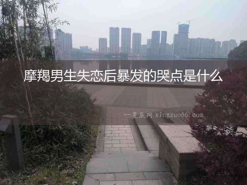 摩羯男生失戀后暴發的哭點是什么