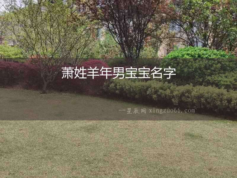 蕭姓羊年男寶寶名字