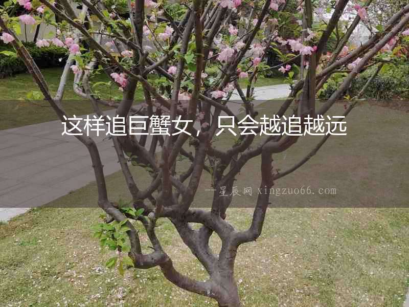 這樣追巨蟹女，只會越追越遠