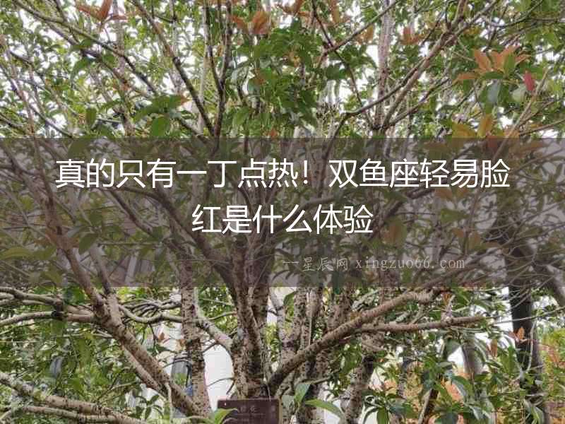 真的只有一丁點(diǎn)熱！雙魚座輕易臉紅是什么體驗