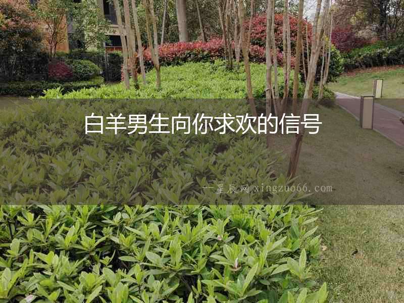 白羊男生向你求歡的信號(hào)