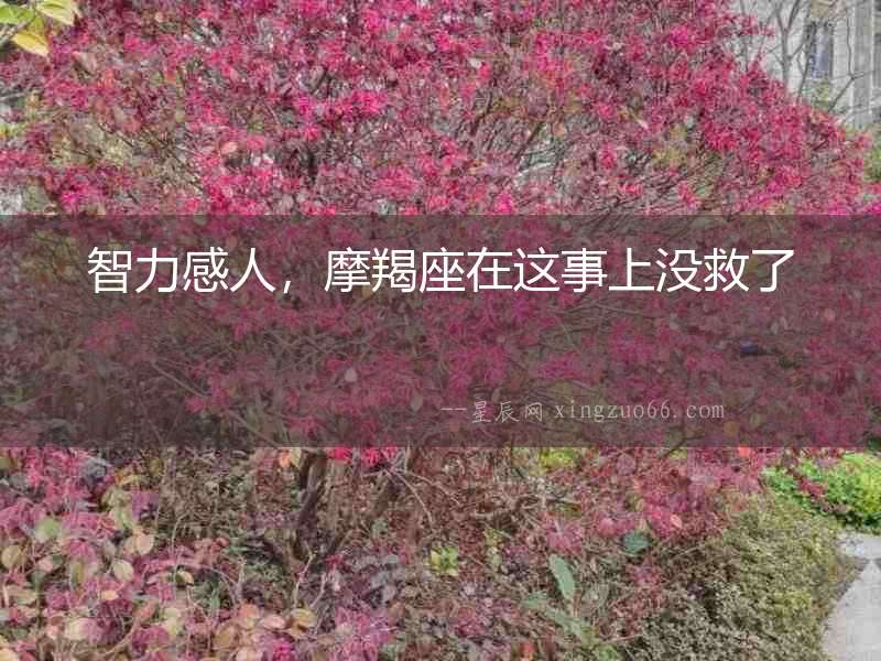 智力感人，摩羯座在這事上沒救了