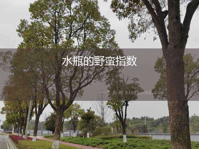 水瓶的野蠻指數(shù)