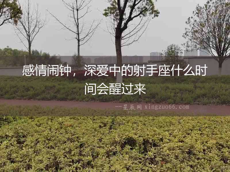 感情鬧鐘，深愛中的射手座什么時間會醒過來