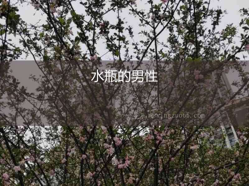水瓶的男性