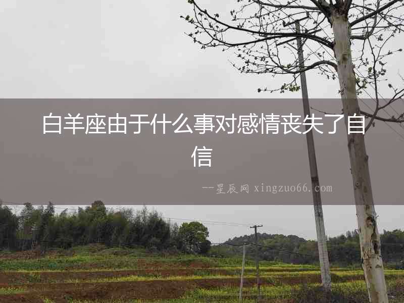 白羊座由于什么事對感情喪失了自信