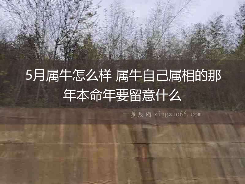 5月屬牛怎么樣 屬牛自己屬相的那年本命年要留意什么
