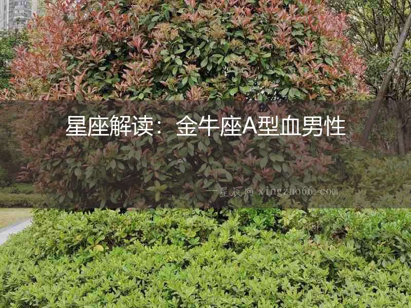 星座解讀：金牛座A型血男性