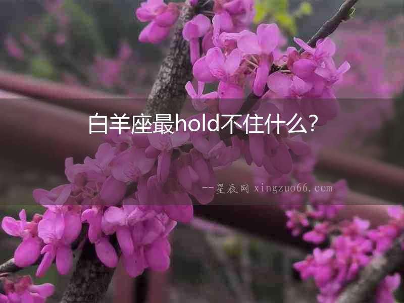 白羊座最hold不住什么？