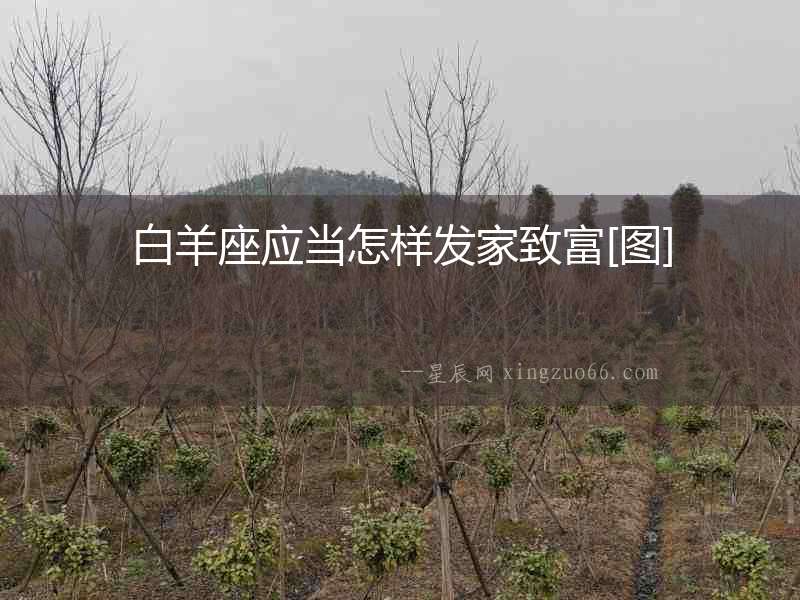 白羊座應當怎樣發家致富[圖]