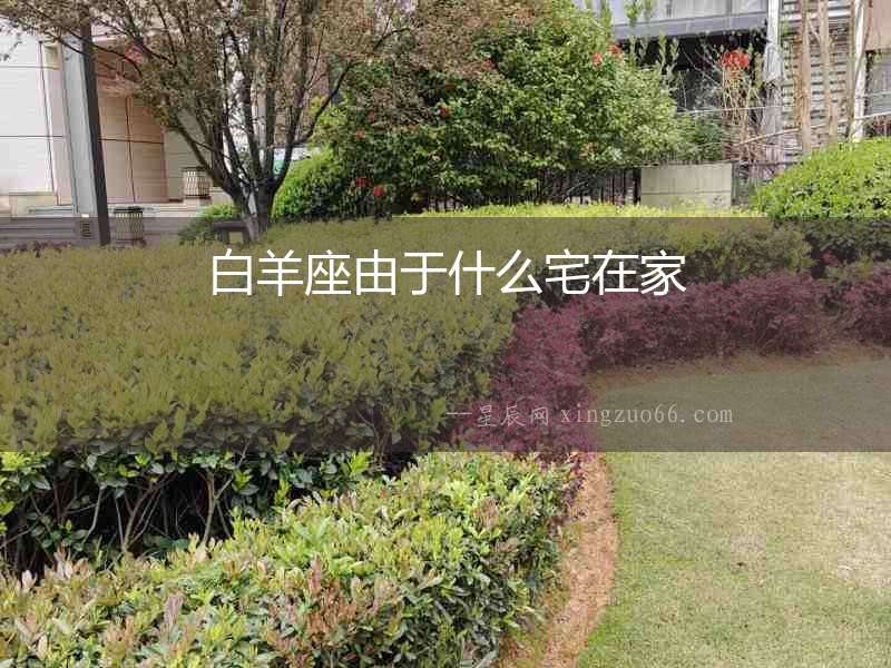 白羊座由于什么宅在家