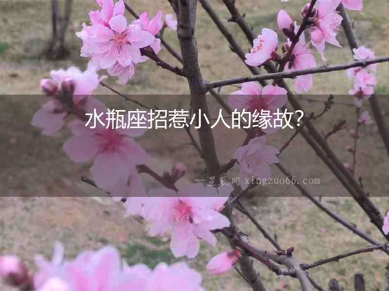 水瓶座招惹小人的緣故？