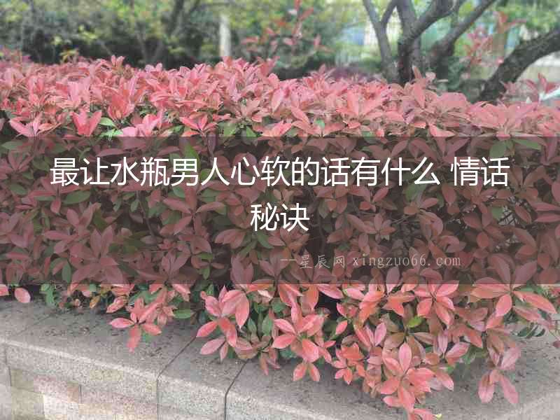 最讓水瓶男人心軟的話有什么 情話秘訣