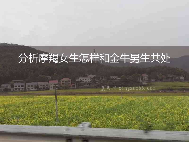 分析摩羯女生怎樣和金牛男生共處