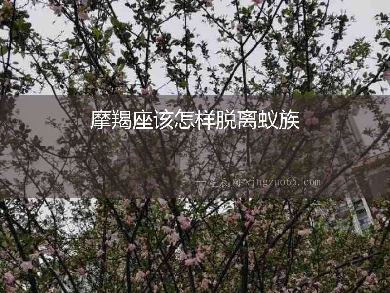 摩羯座該怎樣脫離蟻族