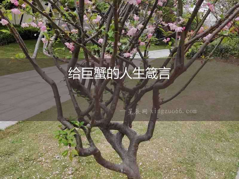 給巨蟹的人生箴言
