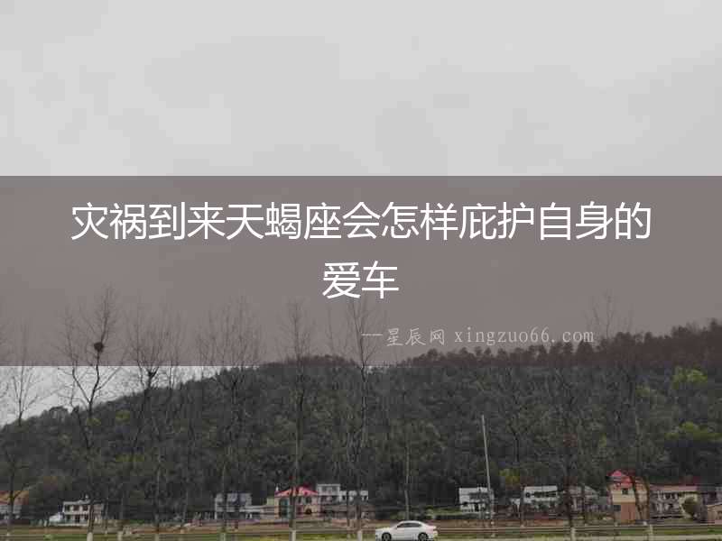 災(zāi)禍到來天蝎座會怎樣庇護(hù)自身的愛車