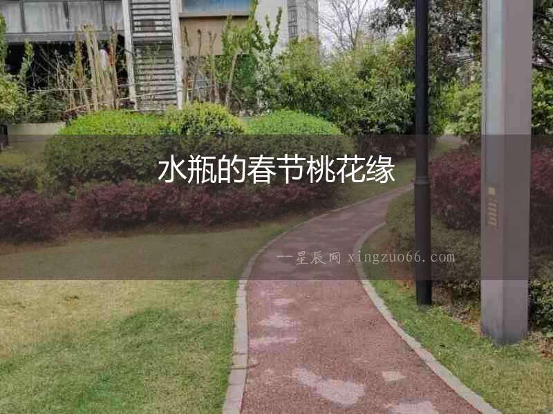 水瓶的春節(jié)桃花緣