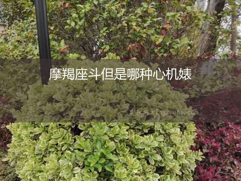 摩羯座斗但是哪種心機婊