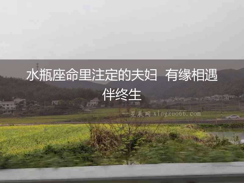 水瓶座命里注定的夫婦  有緣相遇伴終生