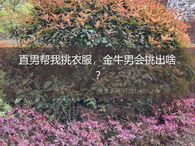 直男幫我挑衣服，金牛男會挑出啥？