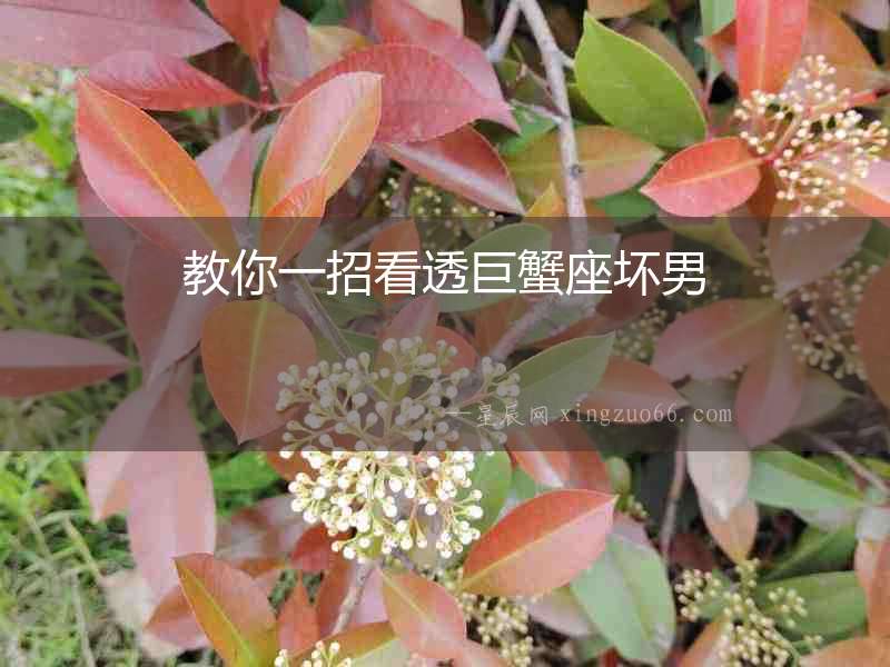 教你一招看透巨蟹座壞男
